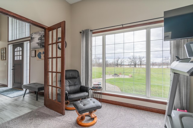 37854 210th Ave SE, Knute Twp, MN 56535 - sitting room featuring baseboards, plenty of natural light, and carpet