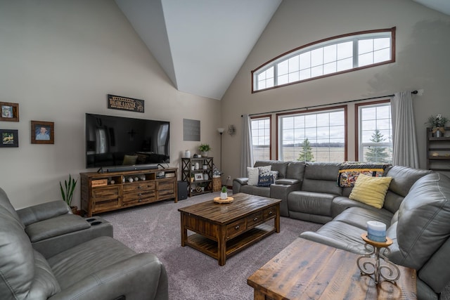 37854 210th Ave SE, Knute Twp, MN 56535 - carpeted living area featuring high vaulted ceiling