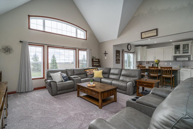 37854 210th Ave SE, Knute Twp, MN 56535 - living area featuring high vaulted ceiling, light carpet, and baseboards