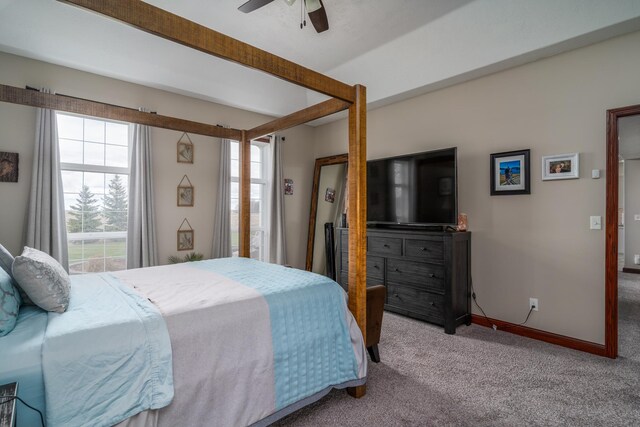 37854 210th Ave SE, Knute Twp, MN 56535 - bedroom featuring carpet flooring, baseboards, and a ceiling fan