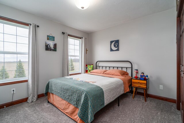 37854 210th Ave SE, Knute Twp, MN 56535 - carpeted bedroom featuring baseboards