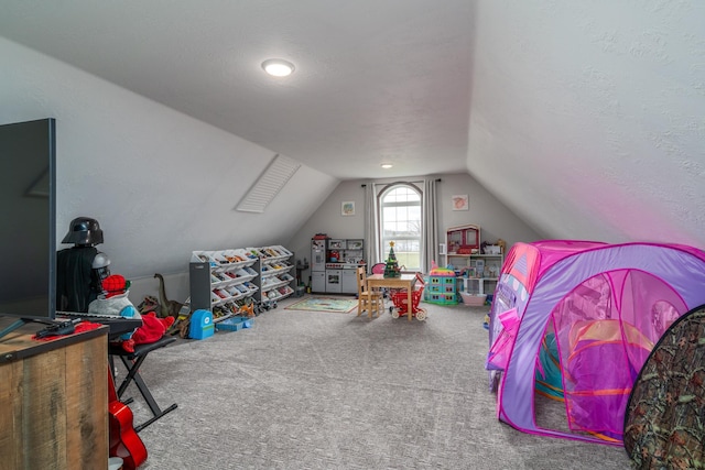 37854 210th Ave SE, Knute Twp, MN 56535 - rec room with vaulted ceiling and carpet flooring