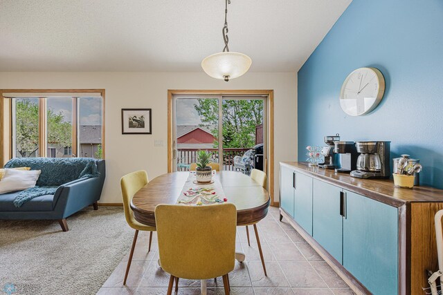 dining room with healthy amount of natural light