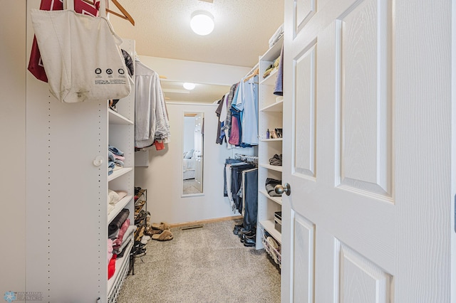 walk in closet with carpet