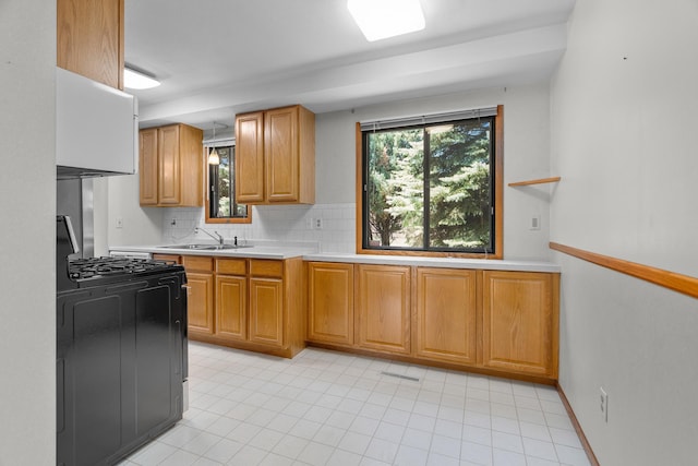2111 Tamarin Trl, Golden Valley, MN 55427 - kitchen with a sink, light countertops, black gas range oven, and plenty of natural light