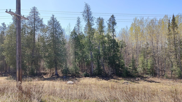 TBD3 Hwy 115, Greenwood Twp, MN 55790