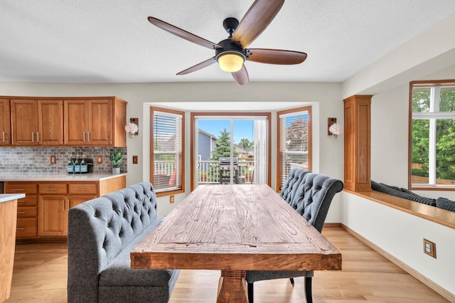 13883 Holly St NW, Andover, MN 55304 - dining area with light wood-type flooring, ceiling fan, a textured ceiling, and baseboards