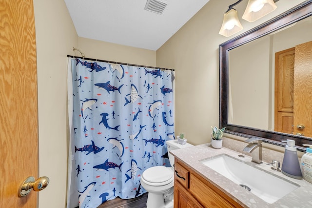 13883 Holly St NW, Andover, MN 55304 - full bathroom featuring vanity, toilet, curtained shower, and wood finished floors