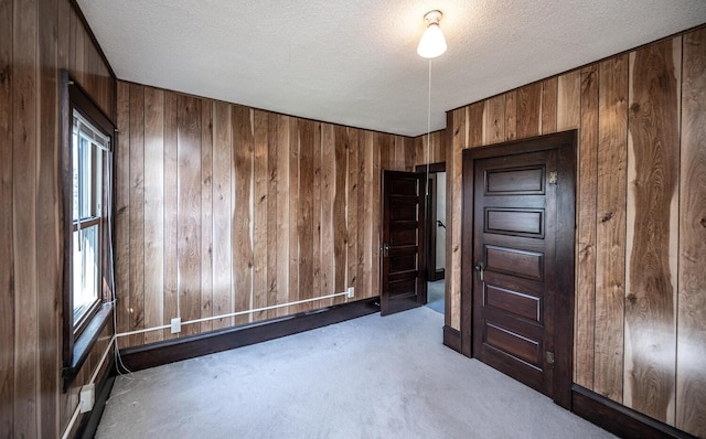 23142 Denmark Ave, Castle Rock Twp, MN 55024 - spare room featuring wood walls, carpet floors, and a textured ceiling
