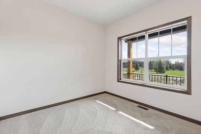 21346 Cottonwood St NW, Oak Grove, MN 55011 - carpeted empty room with baseboards