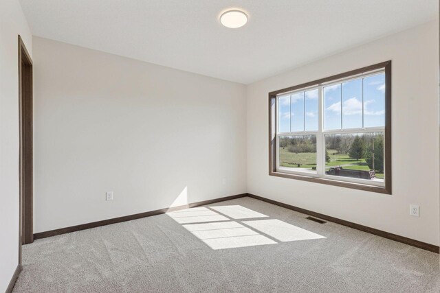 21346 Cottonwood St NW, Oak Grove, MN 55011 - carpeted empty room with baseboards