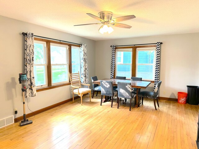 1429 Circle Dr, Albert Lea, MN 56007 - dining room featuring a ceiling fan, baseboards, and light wood-style floors