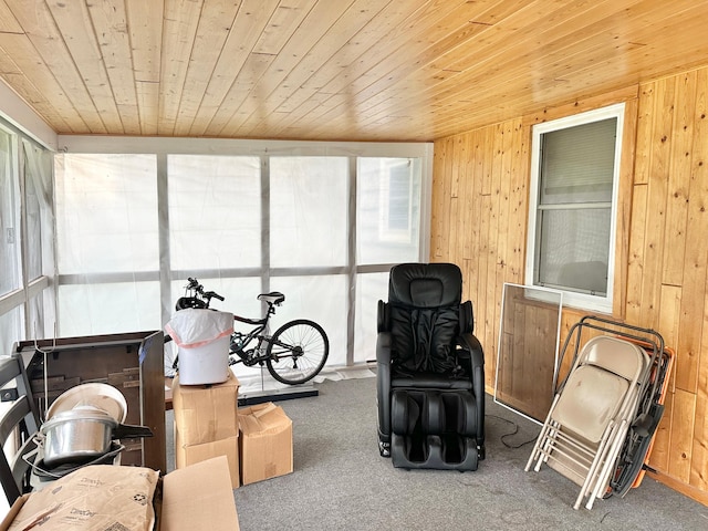 1429 Circle Dr, Albert Lea, MN 56007 - view of sunroom / solarium