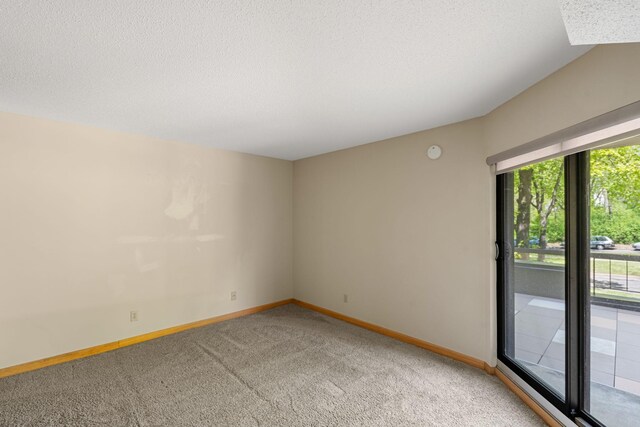 2885 Knox Ave S Unit 208, Minneapolis, MN 55408 - spare room featuring light colored carpet, baseboards, and a textured ceiling