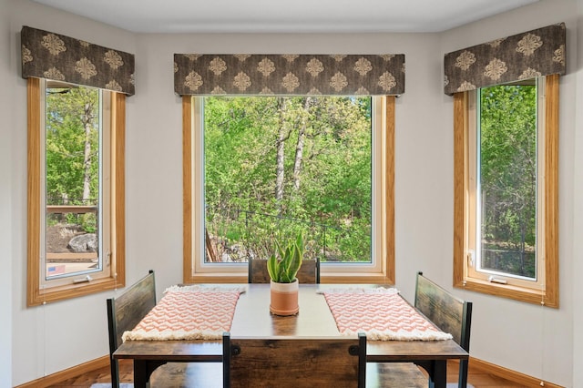 dining space with healthy amount of natural light and baseboards