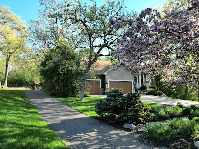 view of property hidden behind natural elements with a garage, stone siding, a front yard, and driveway