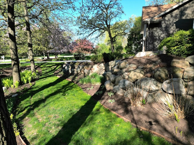 view of grassy yard
