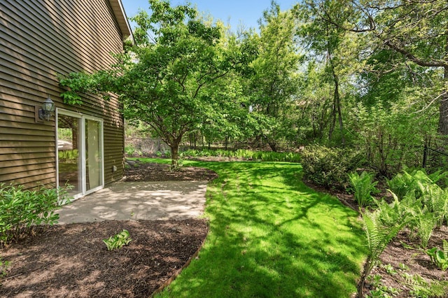 view of grassy yard featuring a patio area