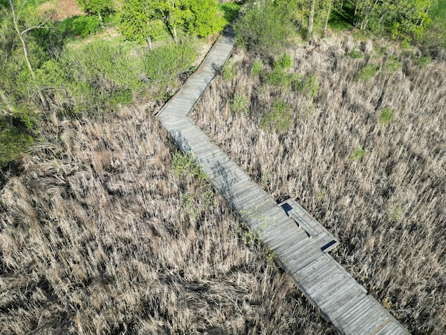 bird's eye view