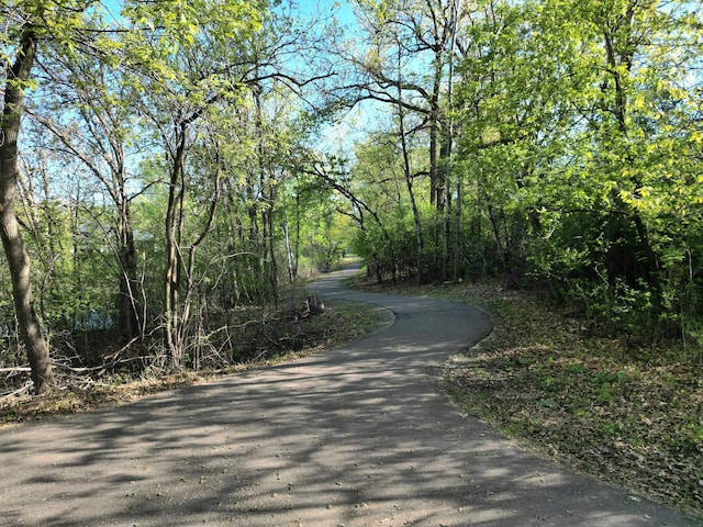 view of road with a view of trees