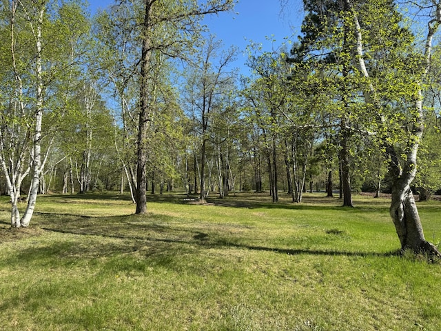 3545 White Birch Ave NE, Bemidji, MN 56601 - view of green lawn