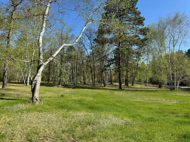 3545 White Birch Ave NE, Bemidji, MN 56601 - view of grassy yard