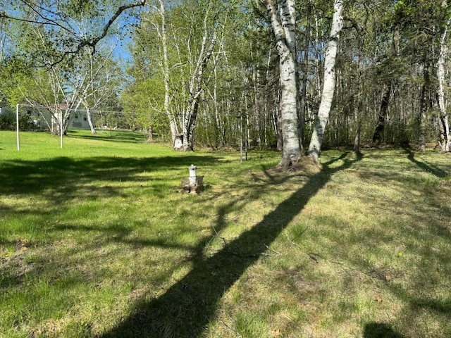 3545 White Birch Ave NE, Bemidji, MN 56601 - view of grassy yard
