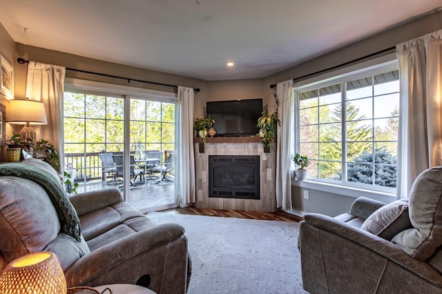 6385 13th Ave NW, Rochester, MN 55901 - living room with a fireplace, wood finished floors, baseboards, and recessed lighting