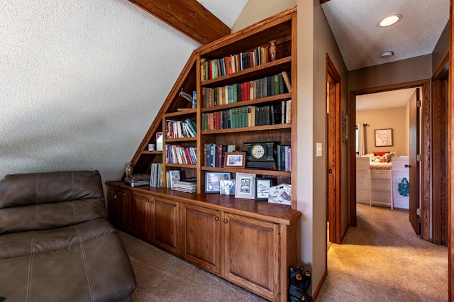 6385 13th Ave NW, Rochester, MN 55901 - sitting room featuring dark carpet, a textured ceiling, and recessed lighting
