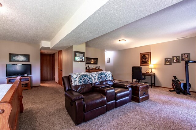 6385 13th Ave NW, Rochester, MN 55901 - carpeted living area featuring a textured ceiling