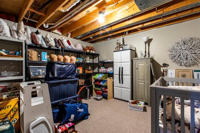 6385 13th Ave NW, Rochester, MN 55901 - view of storage area