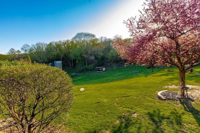 6385 13th Ave NW, Rochester, MN 55901 - surrounding community with a lawn
