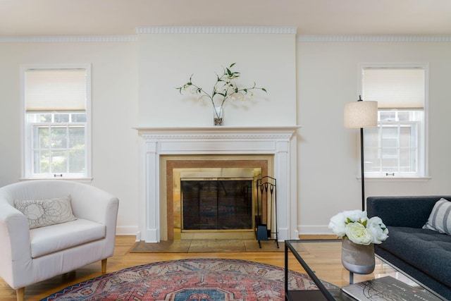 623 Fairview Ave S, Saint Paul, MN 55116 - living room with a glass covered fireplace and wood finished floors