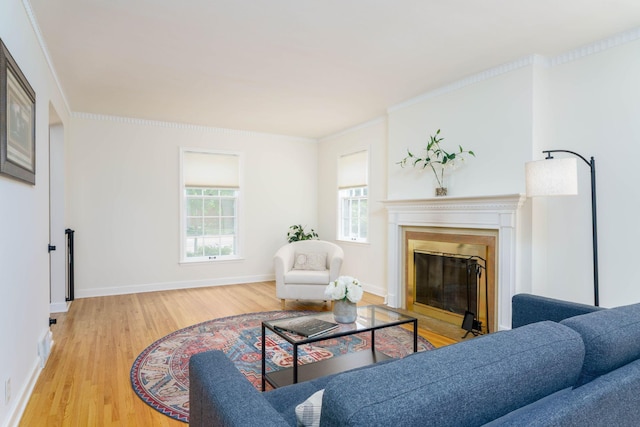 623 Fairview Ave S, Saint Paul, MN 55116 - living area featuring a glass covered fireplace, wood finished floors, and crown molding
