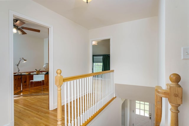 623 Fairview Ave S, Saint Paul, MN 55116 - hallway featuring an upstairs landing, wood finished floors, and plenty of natural light