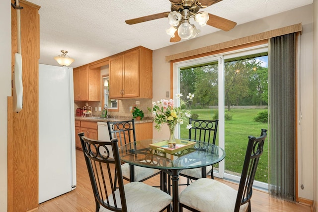 dining room featuring healthy amount of natural light, light wood finished floors, ceiling fan, and a textured ceiling