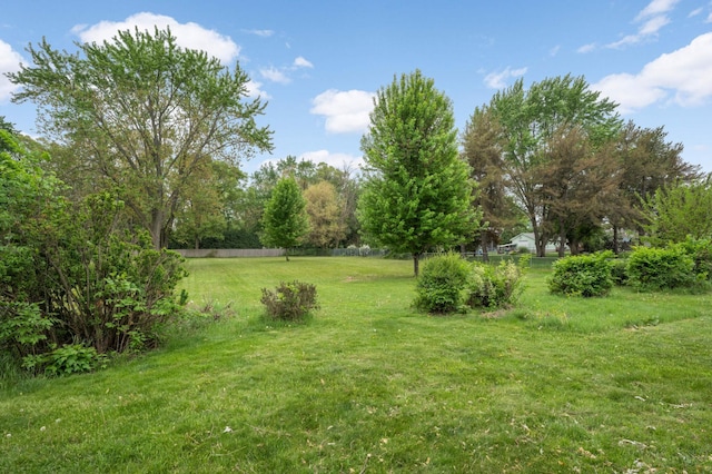 view of yard