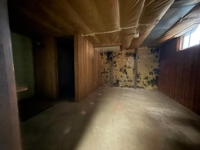 421 Oxford St W, Worthington, MN 56187 - basement featuring wood walls
