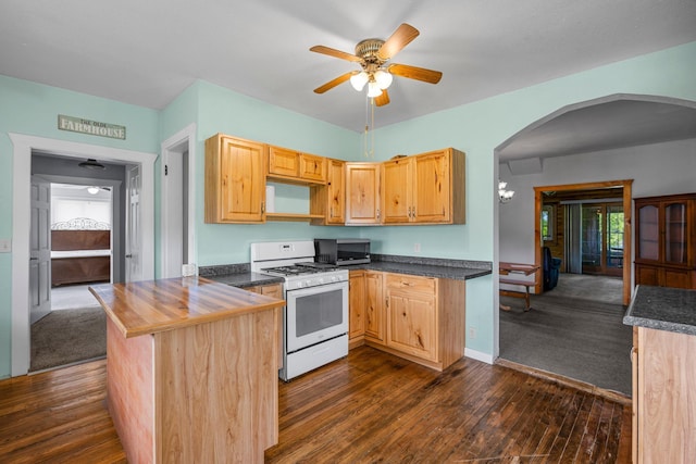 3592 Blom Lake Dr, Frederic, WI 54837 - kitchen featuring white gas range oven, arched walkways, dark wood-type flooring, ceiling fan, and a peninsula