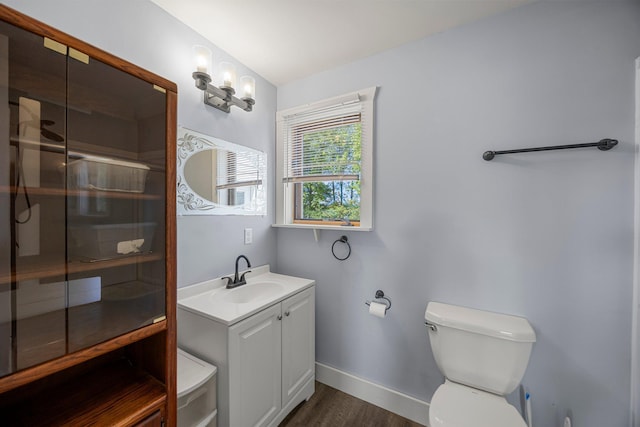 3592 Blom Lake Dr, Frederic, WI 54837 - full bathroom featuring vanity, wood finished floors, toilet, and a stall shower