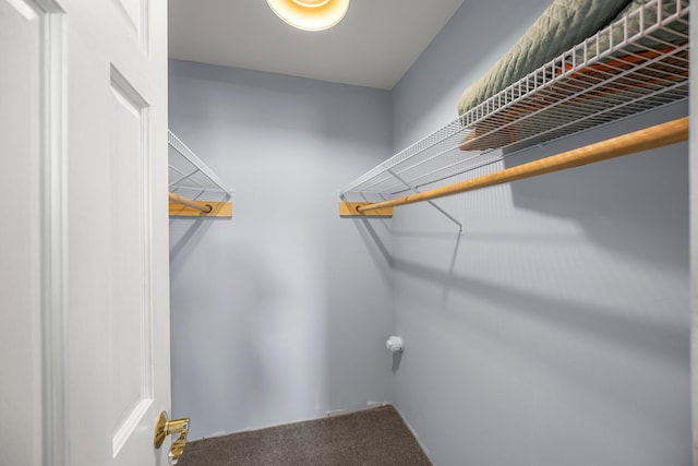 3592 Blom Lake Dr, Frederic, WI 54837 - spacious closet with carpet flooring