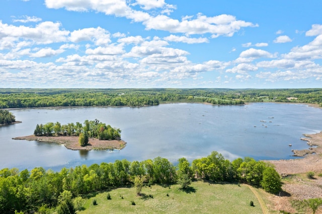 3592 Blom Lake Dr, Frederic, WI 54837 - water view featuring a forest