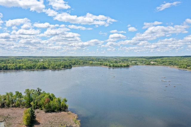 3592 Blom Lake Dr, Frederic, WI 54837 - water view featuring a forest