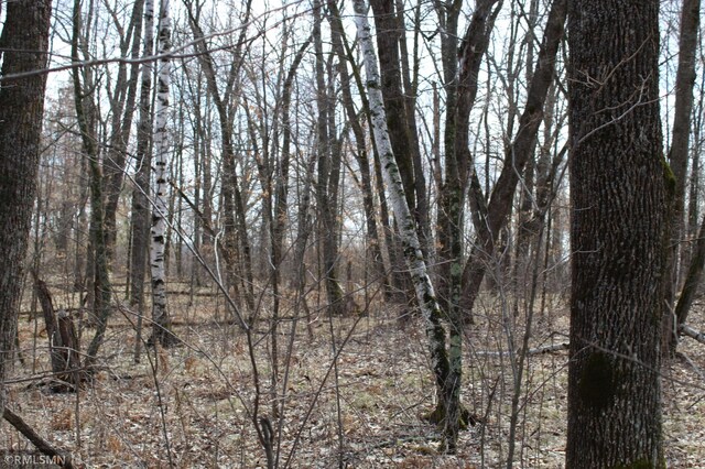 39743 Van Gordon Rd, Hinckley, MN 55037 - photo 2