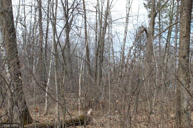 39743 Van Gordon Rd, Hinckley, MN 55037 - photo 4