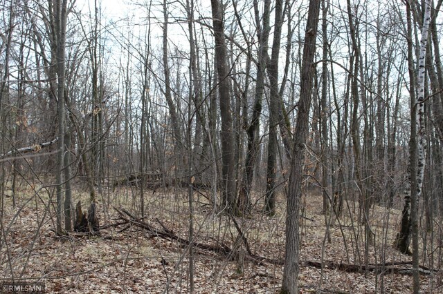 39743 Van Gordon Rd, Hinckley, MN 55037 - photo 8