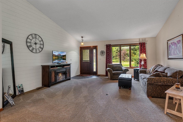 28443 133rd St NW, Baldwin Twp, MN 55398 - carpeted living area with a fireplace, wood walls, and high vaulted ceiling