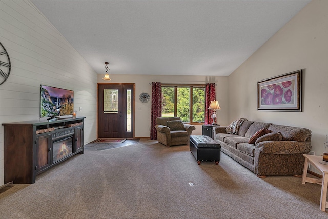 28443 133rd St NW, Baldwin Twp, MN 55398 - carpeted living area featuring lofted ceiling, wood walls, and a glass covered fireplace