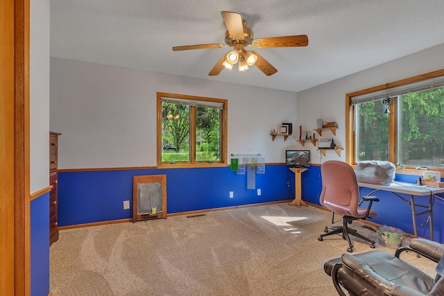 28443 133rd St NW, Baldwin Twp, MN 55398 - home office featuring plenty of natural light, carpet flooring, a ceiling fan, a textured ceiling, and baseboards