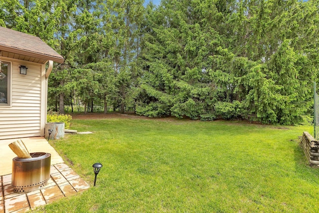 28443 133rd St NW, Baldwin Twp, MN 55398 - view of green lawn